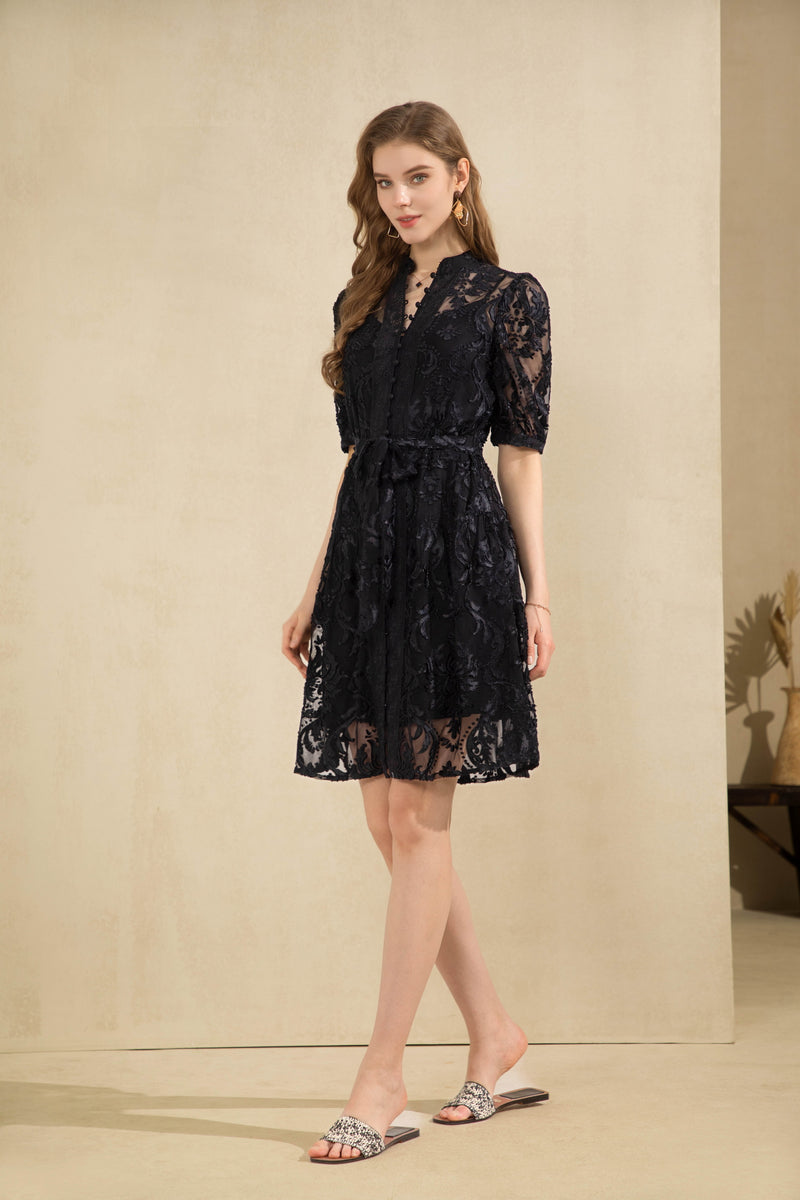 YVETTE LACE SHORT SLEEVES SHORT DRESS