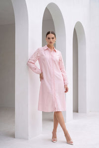 AVA EMBROIDERED DRESS